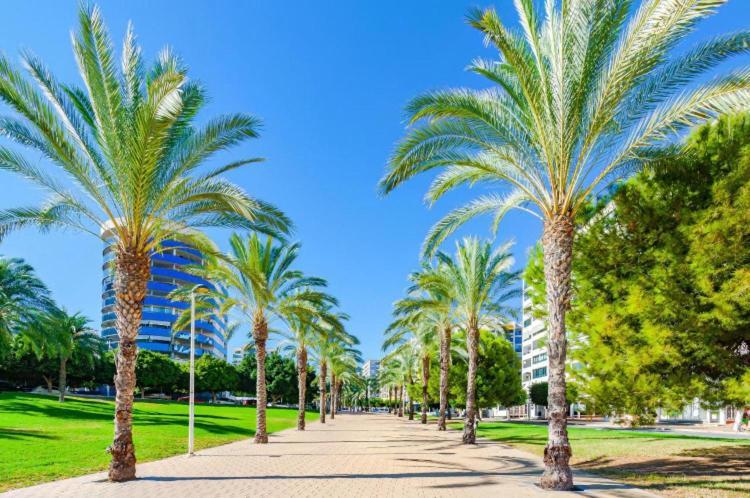Appartement Cala Cosy à Benidorm Extérieur photo